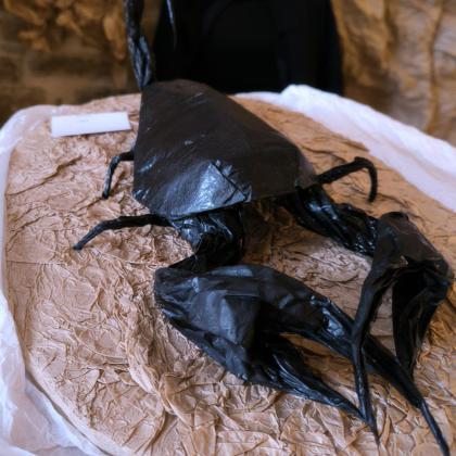 Scorpion mixed technique folded/crumpled