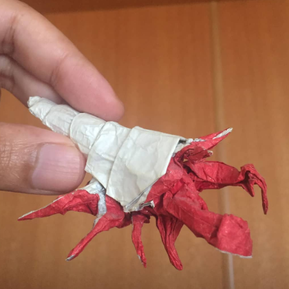 Hermit Crab
