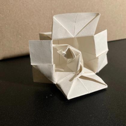 A kitten sitting and looking over its shoulder in an overturned box