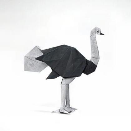 Ostrich- The fundamental structure is based on a stretched bird base, enhanced with diagonal grafting to add detailed legs. What makes this model particularly intriguing is that its final form naturally takes shape with minimal intervention.