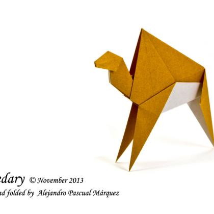 Alejandro Pascual - Dromedary