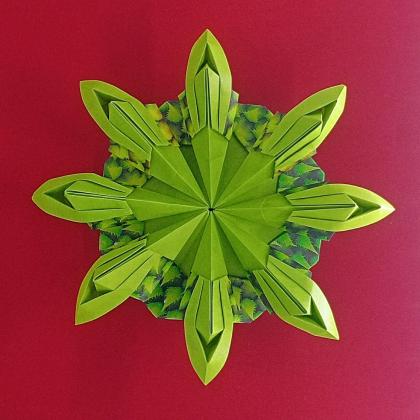 Fiore mandala (inspired by Fiore II by Riccardo Colletto)