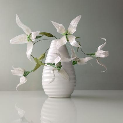 Clematis Sibirica (folded by Carla Onishi de Godoy)