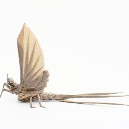 A picture of an origami mayfly, white background