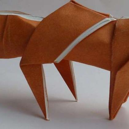 Fox - Sinosauropteryx by Bodo Haag 