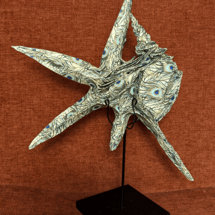 #084 Mediterranean Pelican's Foot Snail