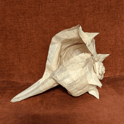 #093 Lightning Whelk