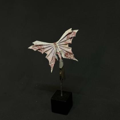 money butterfly