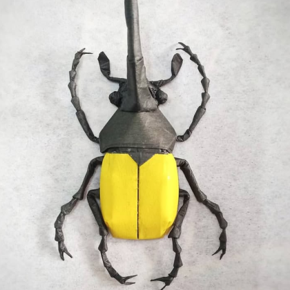 Hercules beetle