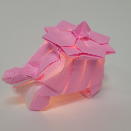 Rùa hoa (Flower turtle)