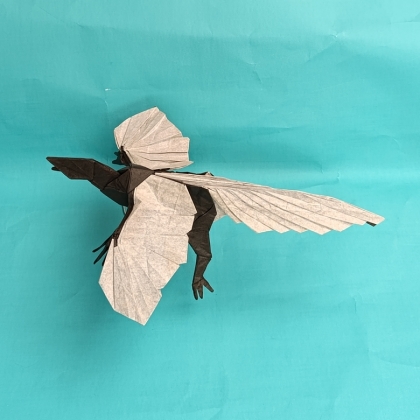 Archaeopteryx