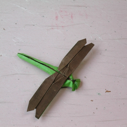 King Dragonfly