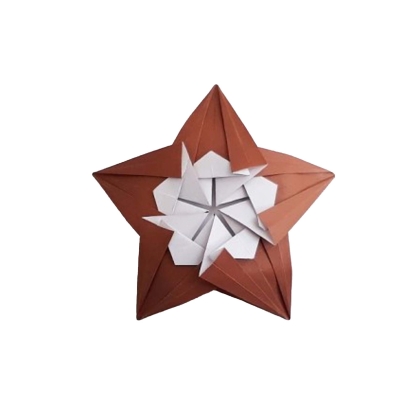 Five-Petal Star
