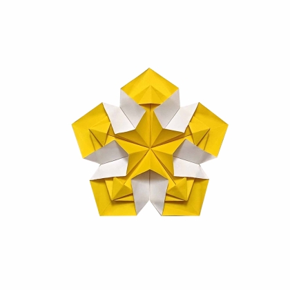 Pentabloom