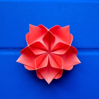 2-stage Pentagonal Lotus (2015)