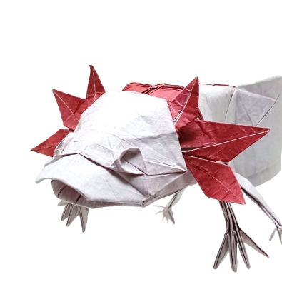 Profile picture for user Juan Flores C.