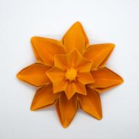 and the center pops out!!